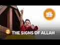 The signs of allah  quranic parables ramadan