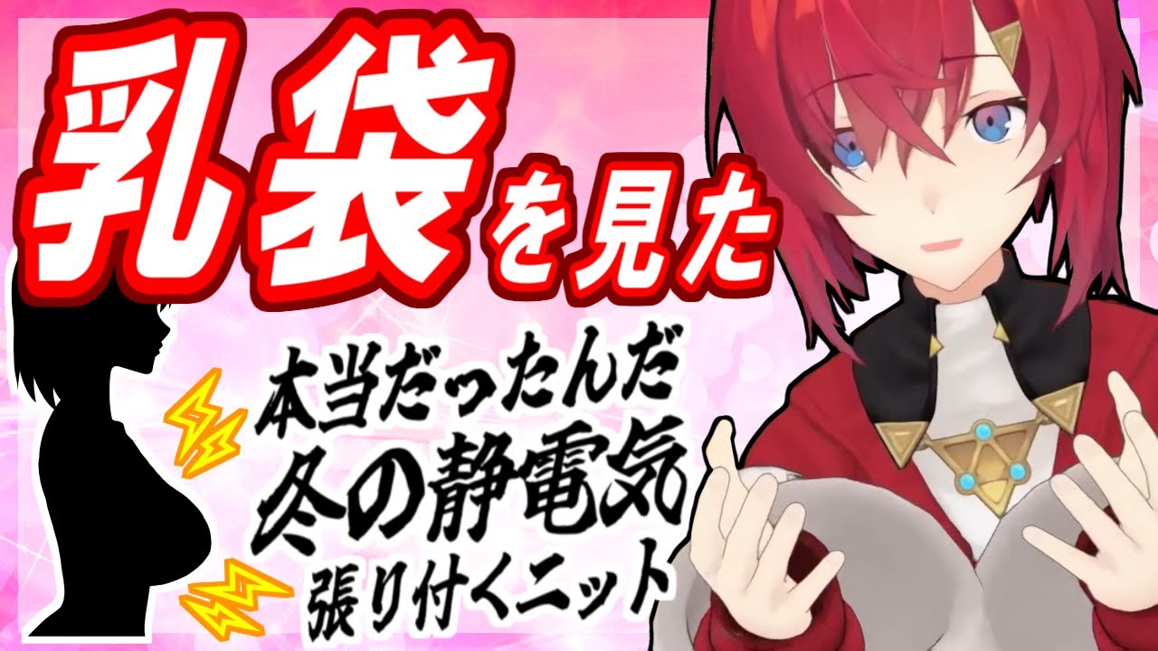 アンジュが友達の胸に見た冬の奇跡を学会(配信)で発表する
