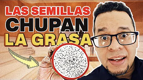 ¿Qué elimina la grasa del vientre?