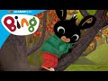 ¡Bing y Sula se lo están pasando genial jugando en los árboles! | Bing Español