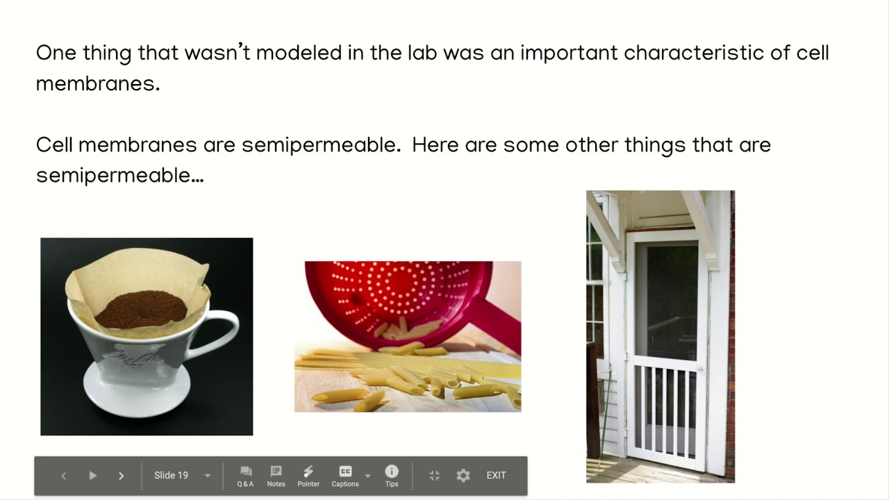 Part 2 11/5 or 11/6 "Bubble Lab" Cell Membrane Google Slides YouTube