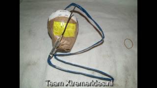 3 inch shell  Pixie Dust Willow with crackling Vulcan