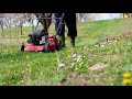 Tips to tick-proof your yard
