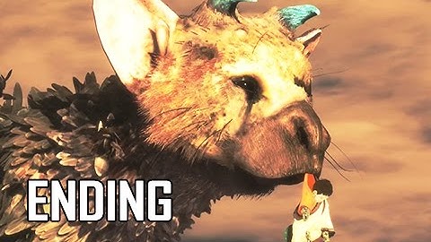 The Last Guardian Walkthrough Part 17 - ENDING (PS4 Pro Let