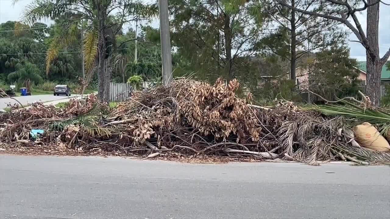 Florida residents warned about venomous snakes hiding in storm debris