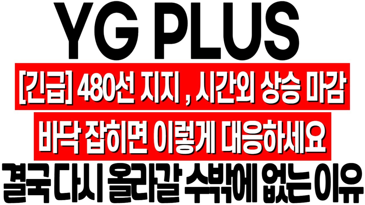 [와이지플러스 주가 전망] 곧 바닥 잡힐 겁니다! 세력 나가지 않았습니다! 내일 이렇게 대응하세요! 와이지플러스 투자경고 해제! yg  plus 주가 전망! yg plus 목표가