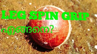 Leg spin grip |malayalam| screenshot 4