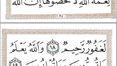 الجزء الرابع عشر قران كريم خط كبير واضح للقراءة