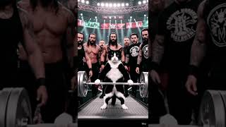 #CatPower#UnexpectedStrength#ViralShorts#AmazingCat#FunnyAI#Shorts#GlobalVideo