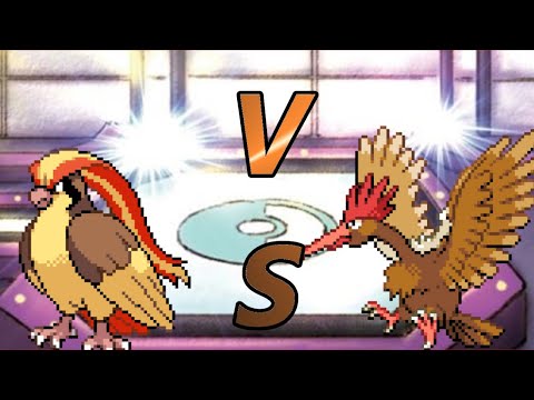 ポケモン Hgss 初代鳥ポケ頂上決戦 ピジョットとオニドリルはどっちが強いのかバトルステージで検証 全ポケモンガチで育成バトルステージ 図鑑no018ピジョット編 Youtube