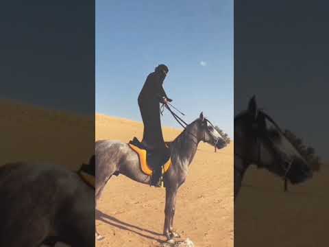 هههه