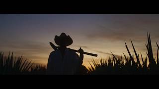 Jose Cuervo : Celebration