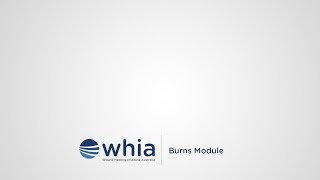 Burns overview