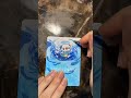 ミジュマル〜クルミルダルマッカ… 【ポケ絵画】　【ポケカ】