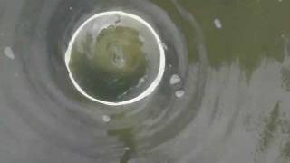 Vortex- variable observation angle and bottom distortion 2