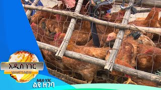 የገና በዓል ገበያ ድባብ፤ታህሳስ 28, 2014/ What's New January 6, 2022