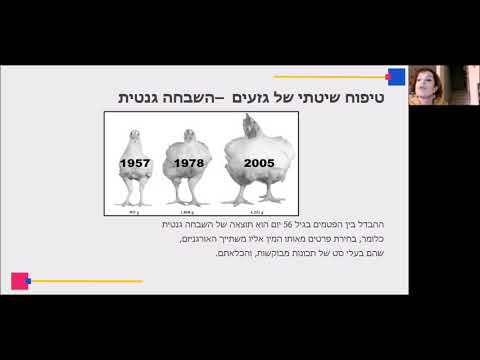 וִידֵאוֹ: מהו ייצור יבולים אינטנסיבי?