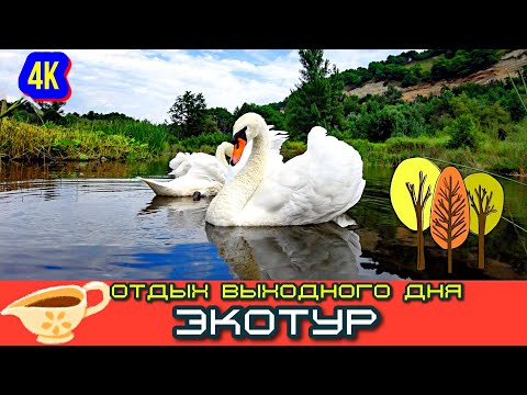 ПСЕБАЙ ЭКОЦЕНТР ЭТО НУЖНО ВИДЕТЬ. Выходной куда пойти. Мостовской, Кавказ, поход, горы Псебай.