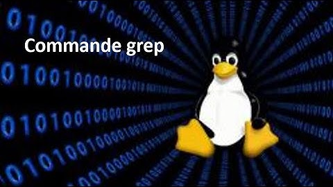 Utilisation de la Commande "grep" dans Linux - LINUX [#10]