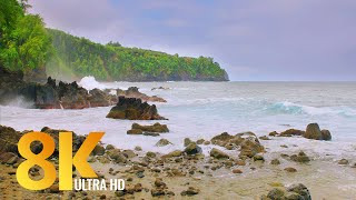 3 HRS Incredible Diversity of the Big Island, Hawaii - 8K Relaxation Video + Nature Sounds - Part#2