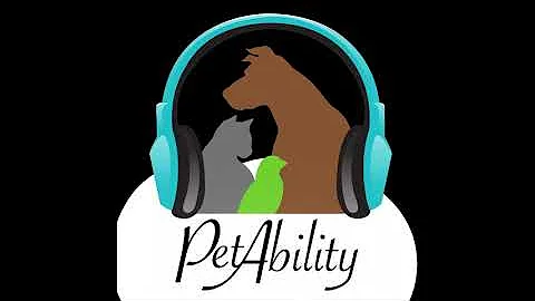 Canine Cognition with Emily Bray, PhD