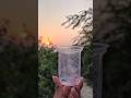 Friend Boss Skills: SMART ideas and Usefulin forest #survival #useful #ideas #smart#shorts #camping