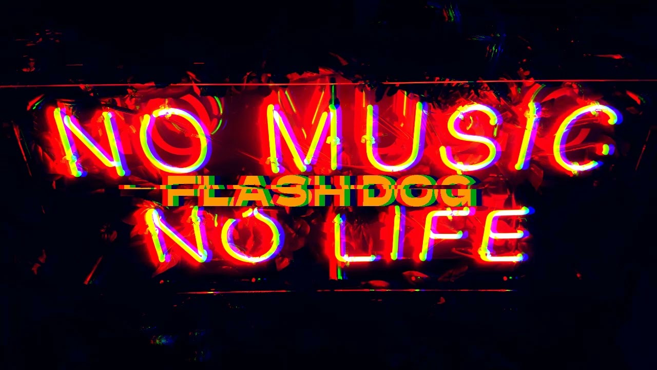 FLASH DOG - NO MUSIC NO LIFE [Original Mix]