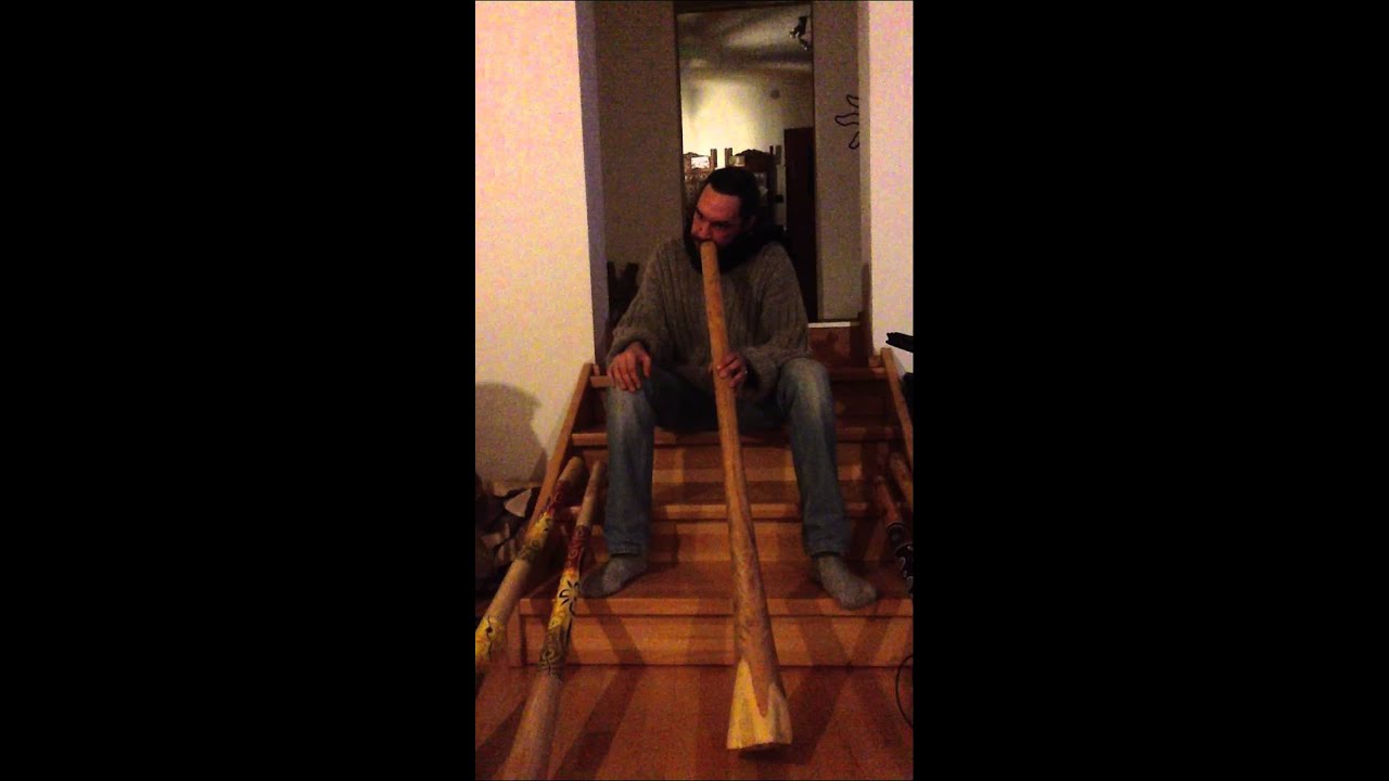Bild oder Video 003