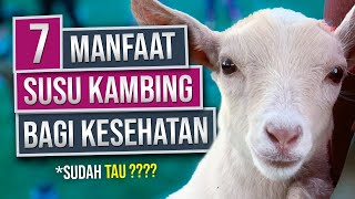 Etaku Goat Milk Asli 1 Box Isi 10 Sachet - Obat Membersihkan Usus - Infeksi Usus - Radang Usus - Usus Bengkak - Usus Buntu