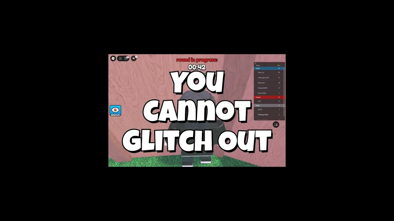 Hide and seek camouflage edition