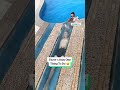 Pool Has A Weird Underwater Tunnel 