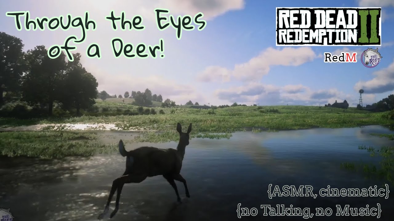 {EP 2} Through the Eyes (RDO) | Let's doe some Deer Things!