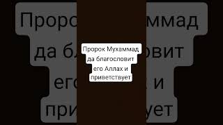 Пророк Мухаммад да благословит его Аллах и приветствует | #вера #quran #напоминание