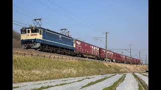 EF65-2081[新]+コキ　3079レ　高松（タ）⇒伊予三島　2022/02/27