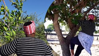 Apakah Sama Seperti di Namibia 🇳🇦 \ Rutinitas Natal Tradisional Seorang Wanita Desa di Afrika screenshot 2
