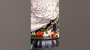 krishna status/ krishna bhajan #shorts #trending #youtubeshorts