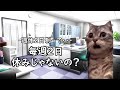 わかりにくい会社の休みの種類【猫ミーム】