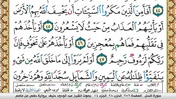 سورة النحل عبد الودود حنيف Surah Al Nahl  Abd Al Wadood Haneef برواية حفص عن عاصم
