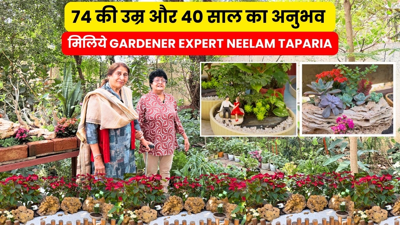 74 की उम्र और 40 साल का अनुभव  मिलिये Gardener Expert Neelam Taparia