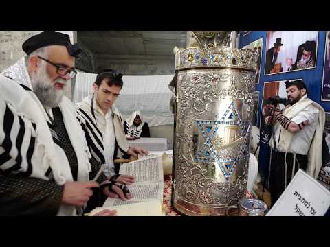 פורים: מגילת אסתר - הרב משה פינטו בקריאת המגילה - קהילת "משכן כדורי" בפ"ת