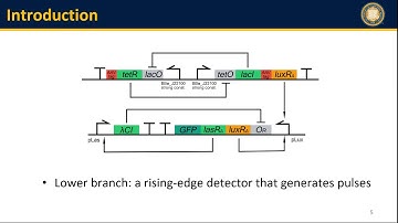 BioE147 Final Project: A stochastic Pulse Generator