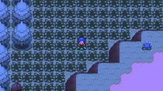 Pokemon Ruby Destiny: Safari Race