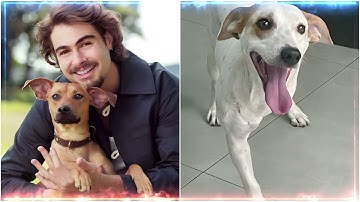 カラメロ | 予告編公開情報 | Netflix