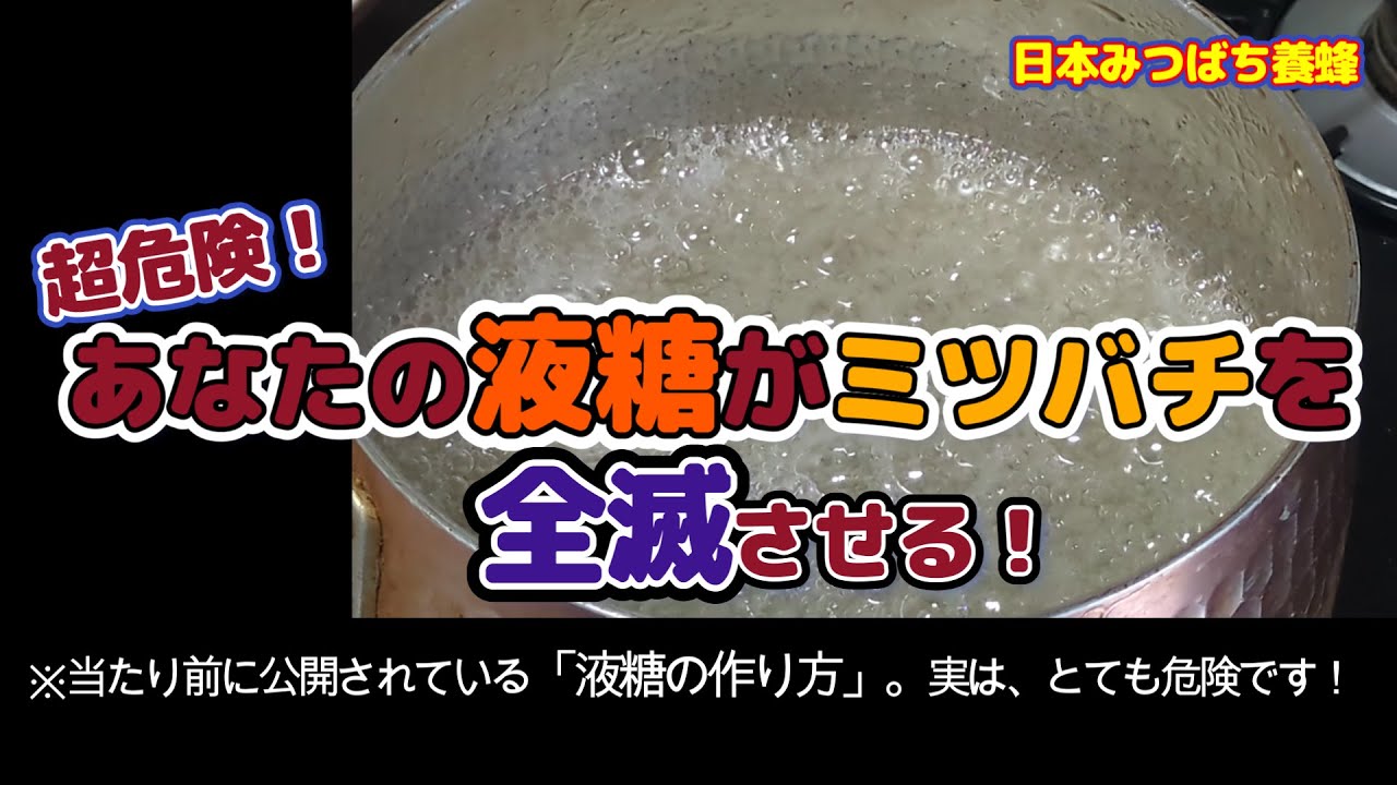 ニホンミツバチの「液糖の作り方」という動画が、数多く配信されていますが、そのほとんどが、ニホンミツバチを全滅させてしまう可能性がある、というは、ご存じでしょうか？その危険性と回避方法を配信しています。
