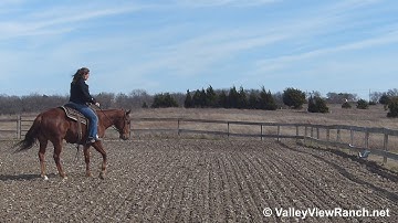 Lady - working the mechanical cow - ValleyViewRanch.net
