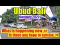 Ubud Bali Situation January 2022 | What is Happening now in ubud...???