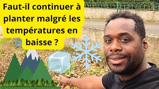 Faut-il continuer à planter malgré les températures en baisse ?