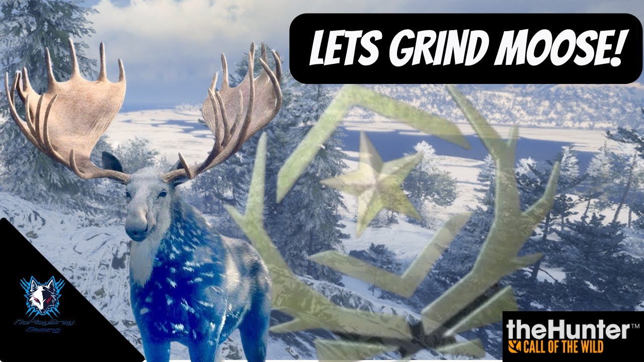 Lets Grind Moose and Talk about the new Map! The Hunter Call of the Wild!