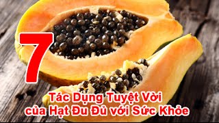 7 Tác Dụng Tuyệt Vời của Hạt Đu Đủ với Sức Khỏe