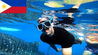 WHALE SHARKS Oslob Philippines 2022 🇵🇭